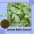 Lemon balm Extract