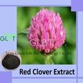 red clover extract 5