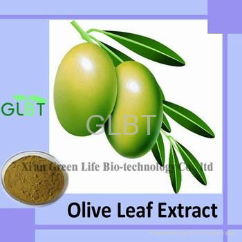 Olive Leaf Extract  5