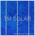 6 inch Polycrystalline solar cell,