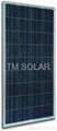 6 inch Polycrystalline solar cell, 3.407W-4.258W 2