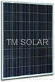 6 inch Polycrystalline Solar Panel