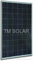 6 inch Poly-crystalline Solar Panel, 260W - 280W
