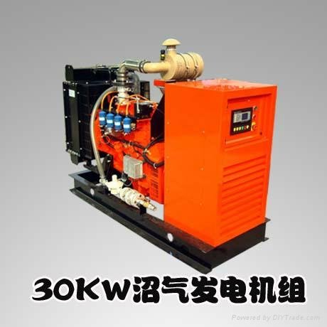H Series 30KW Gas Engine Generators