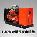 H Series 120KW Gas Engine Generators 1