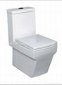 washdown one piece toilet 1