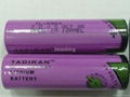 TADIRAN TL5903 lithium batteries SIEMENS