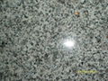 Granite G603 1