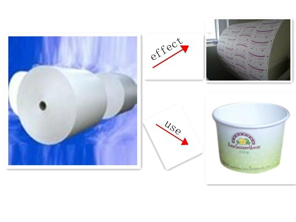 food grade PE coated cup paper with single side 