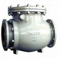 Ceramic check valve 1