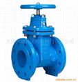 Gate Valve 1