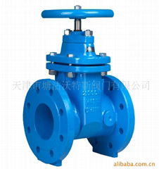 Gate Valve