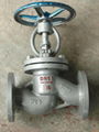 Globe Valve 1