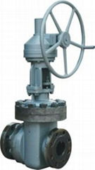 ceramic slurry valves