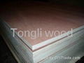 Commercial plywood - marina 1