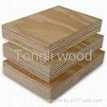 Commercial plywood - marina 2