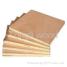 Commercial plywood - marina 3