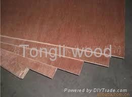 Commercial plywood - marina 5