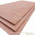 constuction plywood - marina