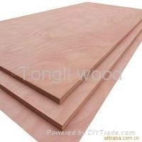constuction plywood - marina