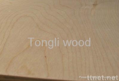 birch plywood - marina