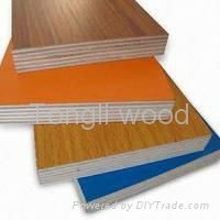 birch plywood - marina 2