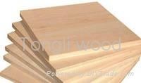 birch plywood - marina 3