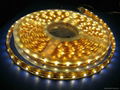 LED 5050 Strip light 1