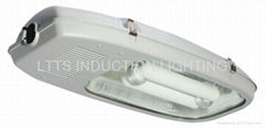 Street induction lighting