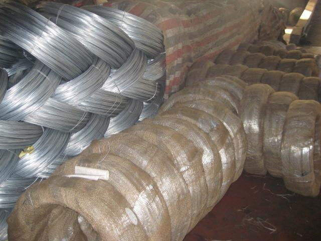 Electro Galvanized Wire