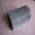 Welded Wire Mesh