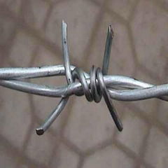 Barbed Wire