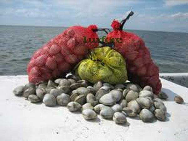 Seafood Shellfish Packaging Bag
