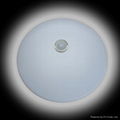 led inductive ceiling light