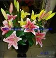 High imitation lily flower with best quality