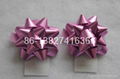 PP ribbon star bow 2