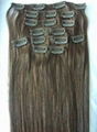 clip in human hair extension 1