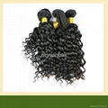 Unprocessed Wholesale Virgin Brazilian Hair Weave Extensions 1