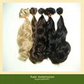 Brazilian Virgin Human Hair Extensions 3