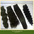 Brazilian Virgin Human Hair Extensions 5