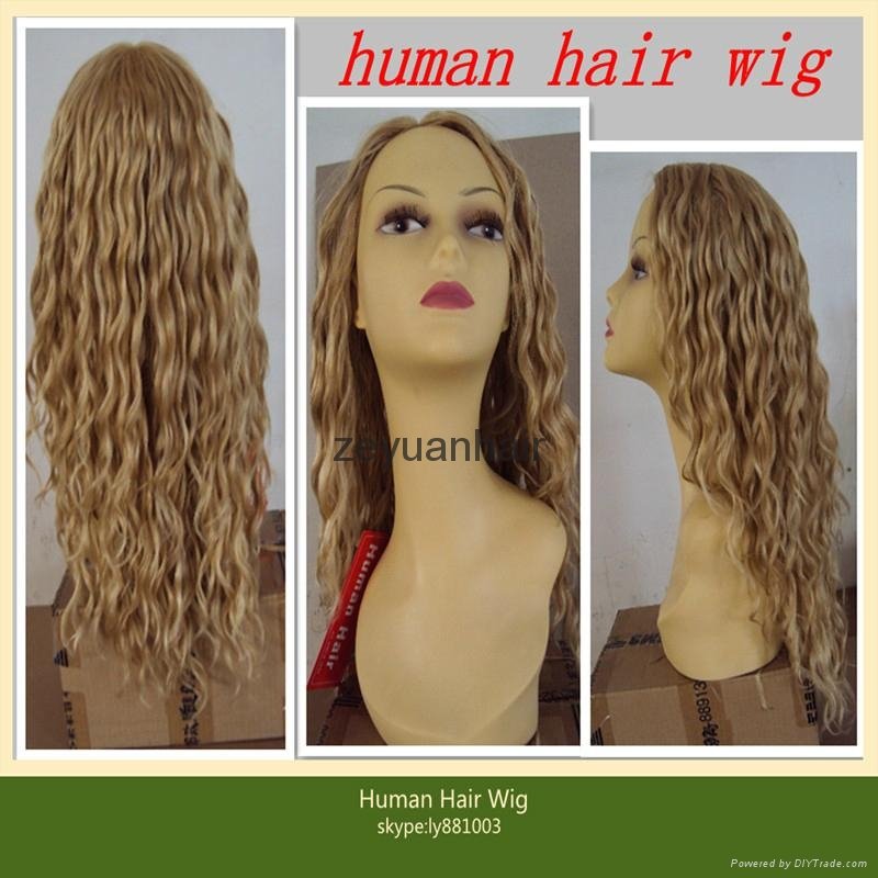 indian human hair full lace wigs 5
