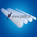 PVDF Rod 1