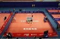 Table tennis sports flooring 2