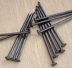 wire nails product from Tianjin