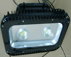 LED Flood Light