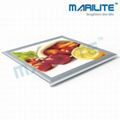 Advertising Led Light Box 1