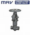 forged steel globe valve 1