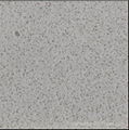 Artificial quartz stone countertop