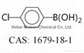 4-Chlorophenylboronic acid,CAS：1679-18-1 1