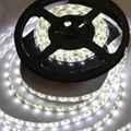 LED strip SMD3528 60LEDS/M Glue dropping IP55 White 1